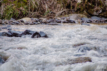 river in the mountains