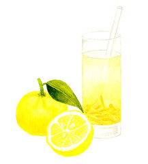 グラスに入った柚子茶（ゆずジュース）と柚子の果実　飲み物の手描き水彩イラスト素材