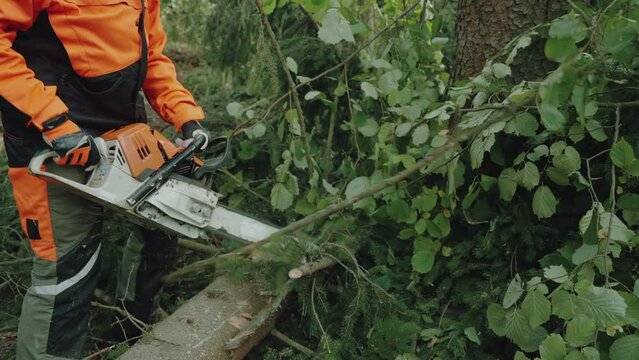 Handheld, logger in the forest, young female specialist in protective gear cuts a tree branches with a chainsaw, hard works on deforestation.