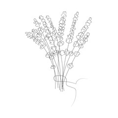 lavender is made in a minimalist style. illustration of flowers