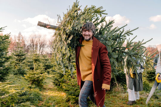 Man carrying Christmas tree on shoulder at farm