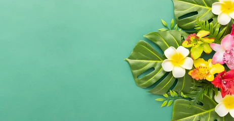 Keuken spatwand met foto Zomer achtergrond met tropische orchidee bloemen en groene tropische palmbladeren op groene achtergrond. Plat lag, bovenaanzicht. Zomerfeest achtergrond © Svetlana Kolpakova