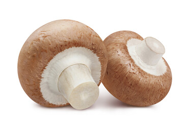 Two delicious mushrooms, isolated on white background