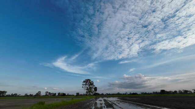 Blue sky white clouds. Cloud time lapse nature background.Puffy fluffy white clouds. Cumulus cloud cloud scape timelapse. in rainy season time lapse. Nature weather blue sky. White clouds background.
