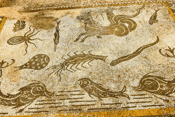 Mosaicos de la casa de orfeo/termas de Galiano.Ciudad Romana de Volubilis(II d.c.), yacimiento...