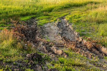 dirt road dirt track