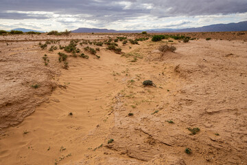 valle del Muluya. Atlas medio. Marruecos, Africa