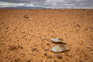alpargata magrebi perdida en el desierto, valle del Muluya. Atlas medio. Marruecos, Africa