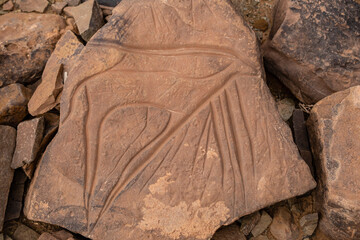 petroglifo de una gacela, yacimiento rupestre de Aït Ouazik, finales del Neolítico, Marruecos, Africa