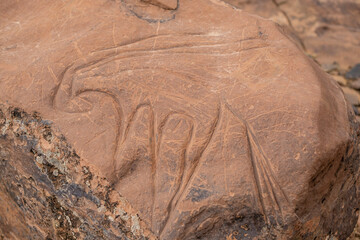 petroglifo de un Onyx, yacimiento rupestre de Aït Ouazik, finales del Neolítico, Marruecos, Africa