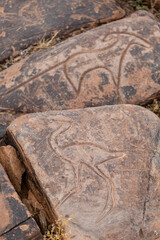 petroglifo de un avestruz, yacimiento rupestre de Aït Ouazik, finales del Neolítico, Marruecos, Africa