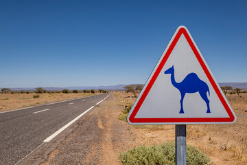aviso de camellos en libertad, carretera de M’Hamid, región de Zagora,Marruecos, Africa