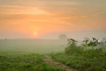 Serene landscape with a lake in the fog
