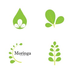 Moringa leaf logo illustration vector design