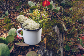 Enamel white mug in the reindeer moss, lichen, twigs and pine needles background. Trekking merchandise and camping gear marketing photo. White metal cup. Rustic scene, mockup template.
