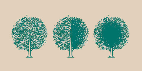 Tree icon with different amount of foliage.