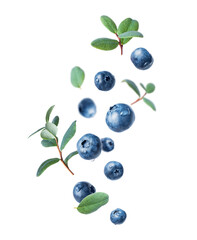 Wet blueberries with leaves in the air closeup on a white background