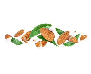 Dried almonds with leaves crushed in the air on a white background