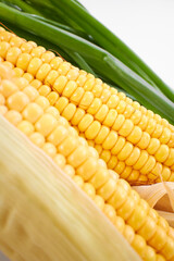 fresh corn on the white background