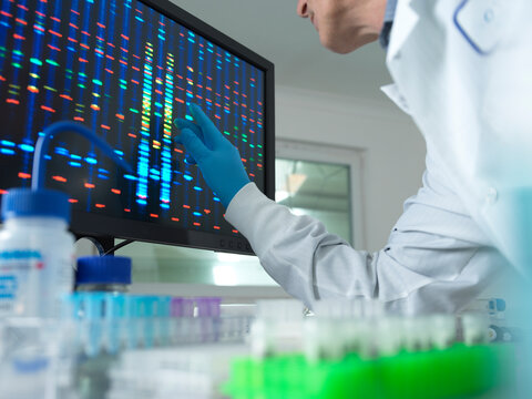 Scientist analyzing DNA on computer screen at laboratory