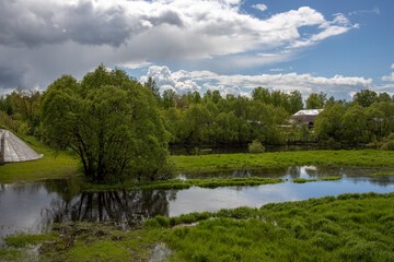 Obraz premium Bright sunny day. Landscape with river and green grass and trees. Juicy greenery after the rain.