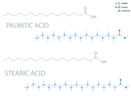 Palmitic acid or stearic acid molecular skeletal 3D chemical formula.	