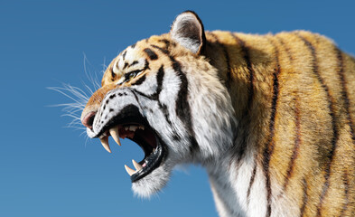 Tiger roar portrait