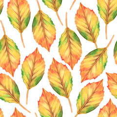 Fototapeta na wymiar Autumn leaf seamless pattern. Watercolor vintage illustration. Isolated on a white background.