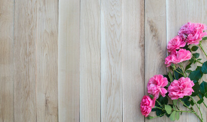 Fototapeta na wymiar Pink roses bouquet on ash and oak wooden planks background border with copy space.