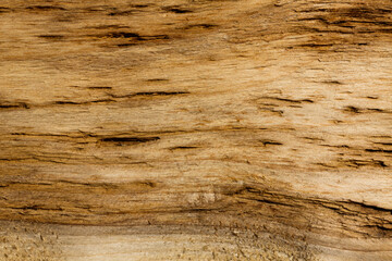 Plakat old wood texture