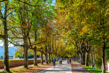 Path along the city walls (Le Mura), Lucca, Tuscany, Italy
