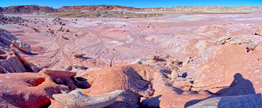 The desolate Hellscape of Devil's Playground in Petrified Forest National Park, Arizona