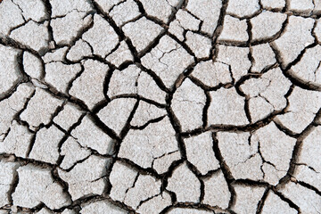 Land with dry and cracked ground. Drought concept. Global warming effect