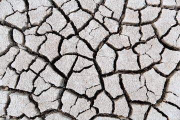 Land with dry and cracked ground. Drought concept. Global warming effect