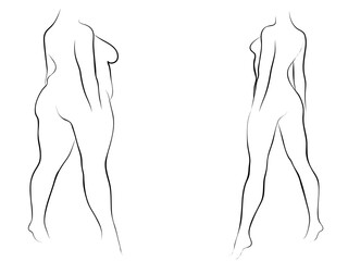 Fototapeta premium Vector conceptual fat overweight obese female vs slim fit healthy body after weight loss or diet with muscles thin young woman isolated. Fitness, nutrition or fatness obesity, health silhouette shape