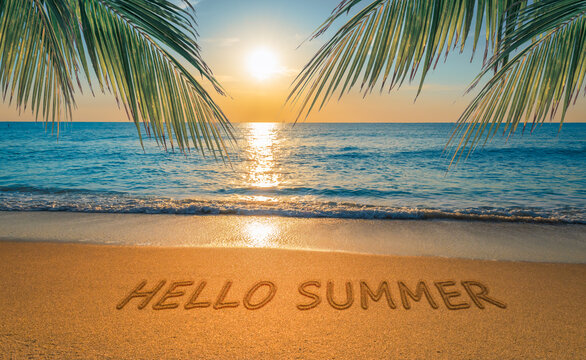 Hello Summer tropical beach travel concept. 