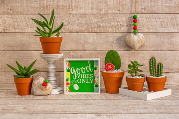 Good vibes only text on wooden board. Cacti and succulents in pots. Still life of domestic plants. Beige wooden background.