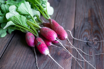 Harvest radishes on the table. Wooden table and pink radishes. Elongated radishes on a wooden...