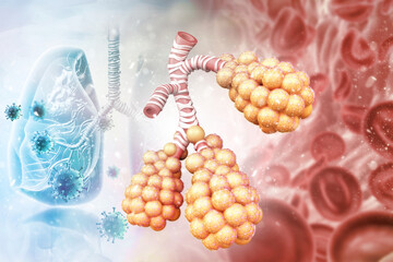 Alveoli in lungs, Alveoli are the air sacs at the end of the respiratory tree of the lungs, 3d illustration