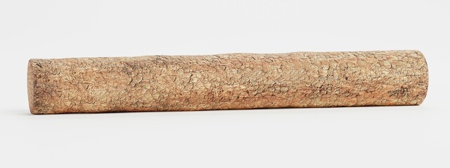 Realistic 3D Render of Tree Log