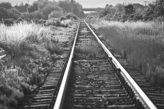 Railway tracks - black and white photo