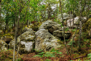 Rocks and Forest in Fontainebleau, France