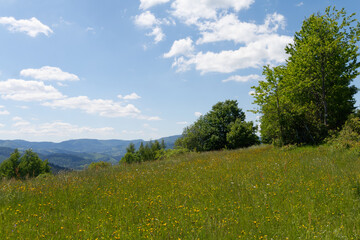 Krajobraz górski Beskidów w okolicy Rajczy i Milówki