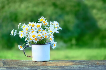 chamomile flowers in white cup on table in garden, natural blurred green background. rustic floral composition. summer season. relaxation, harmony atmosphere