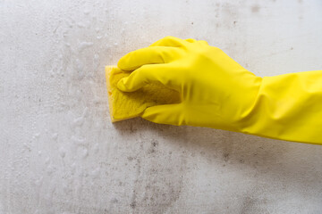 Close-up of a woman's hand washing the wall from mold with a sponge and cleanser, copy space