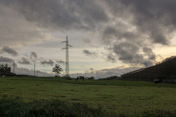 power lines in the field