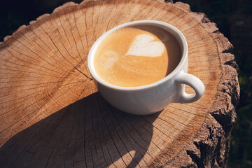Cup of cappuccino in natural light on a stump