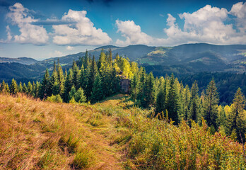 Impressive summer scene of Carpathians, Ukraine, Europe. Gorgeous morning view of mountain valley. Beauty of nature concept background..