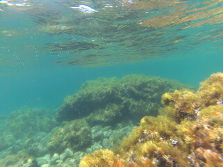 Callella de Palafrugell, Cataluña, España