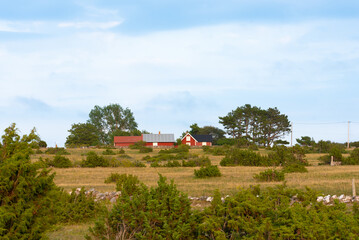 Farm in the north of the island of Öland, Sweden